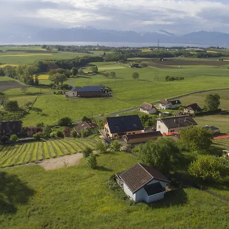 La Petite Cabane * Clarmont