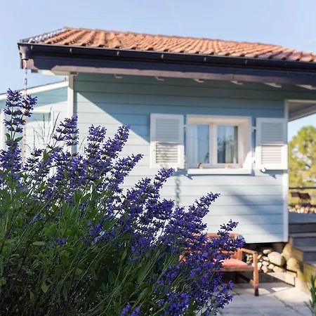 La Petite Cabane Clarmont